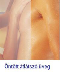 Kolpa-San Orion TS 70/80/90 zuhanyfal (Silver, 68-70 cm, Edzett üveg átlátszó, 70)