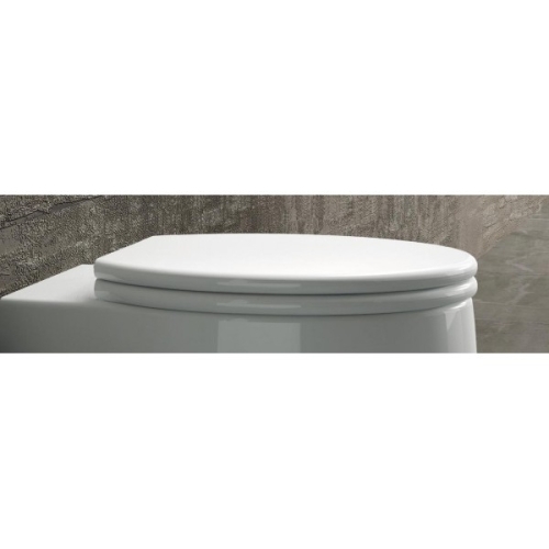 Arezzo design California Soft Close lecsapódásgátlós wc tető AR-CSC (HDA227)