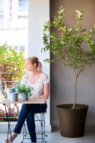 Curver Conic virágtartó, Válasszon egy színt: Whiskey barna