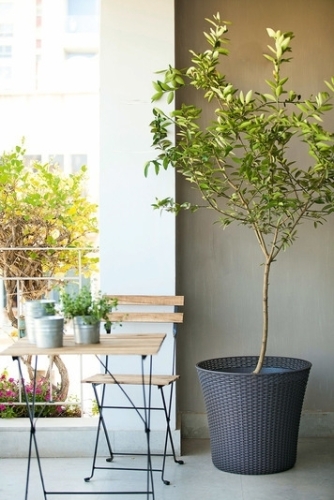 Curver Conic virágtartó, Válasszon egy színt: Whiskey barna