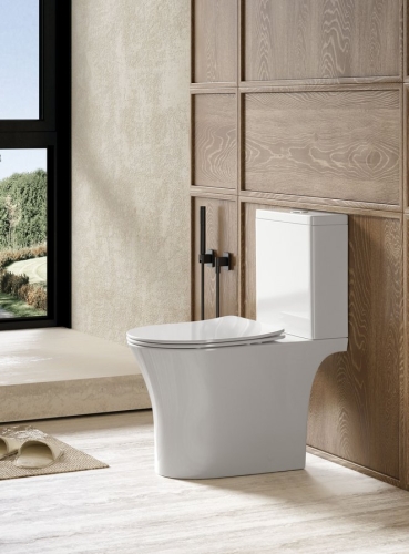 Sapho AQUALINE VITO RIMLESS monoblokkos WC, fehér PB105WR