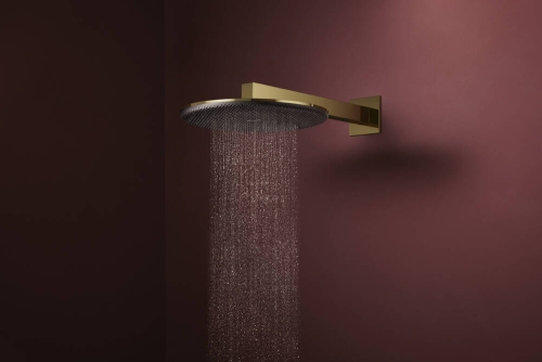 Hansgrohe Raindance Alive S EcoSmart 300 1jet fejzuhany, polírozott arany 24521990