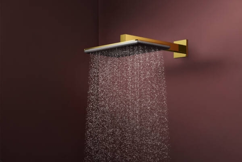 Hansgrohe Raindance Alive Q 210/340 1jet fejzuhany, polírozott arany 24530990